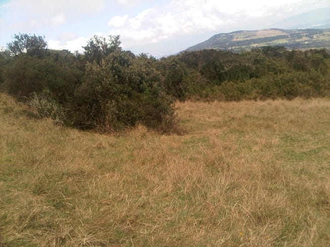 Lote en venta en Yerbabuena, Sopó, 5000 m² · foto 11 de 16