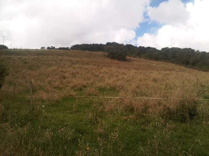 Lote en venta en Yerbabuena, Sopó, 5000 m² · foto 12 de 16