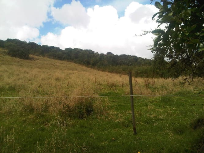 Lote en venta en Yerbabuena, Sopó, 5000 m² · foto 13 de 16
