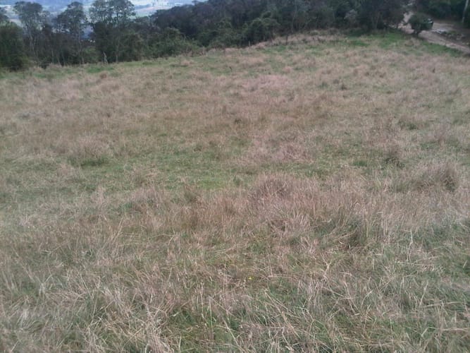 Lote en venta en Yerbabuena, Sopó, 5000 m² · foto 14 de 16