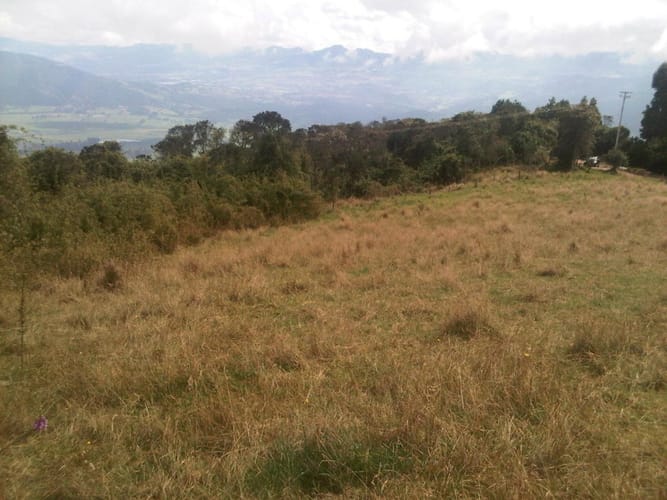 Lote en venta en Yerbabuena, Sopó, 5000 m² · foto 15 de 16