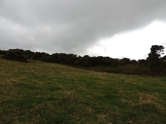 Lote en venta en Yerbabuena, Sopó, 5000 m² · foto 16 de 16
