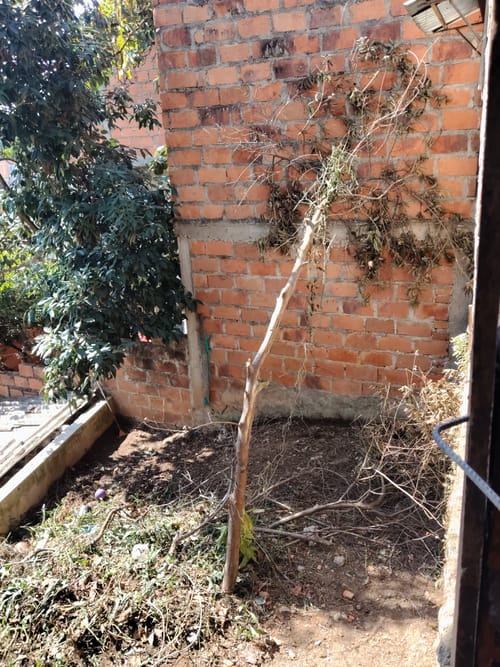 Casa de 4 alcobas en venta en La Trinidad, Bucaramanga, 175 m² · foto 13 de 14