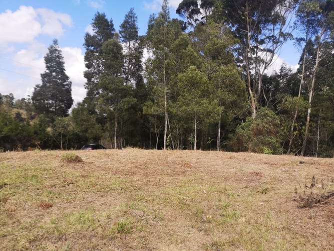 Lote en venta en El Porvenir, Rionegro, 7950 m² · foto 4 de 11