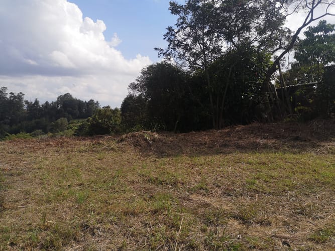 Lote en venta en El Porvenir, Rionegro, 7950 m² · foto 6 de 11