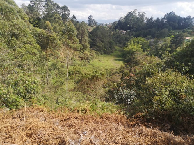 Lote en venta en El Porvenir, Rionegro, 7950 m² · foto 7 de 11