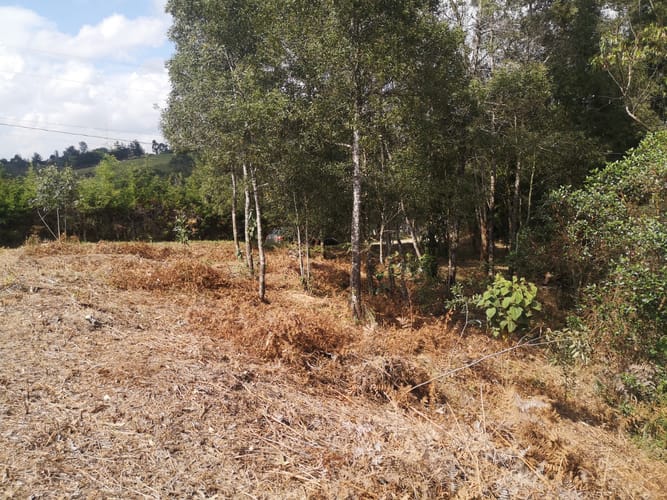 Lote en venta en El Porvenir, Rionegro, 7950 m² · foto 11 de 11
