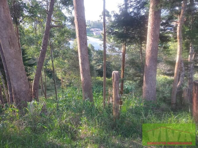 Lote en venta en La Industrial, Marinilla, 4800 m² · foto 2 de 6