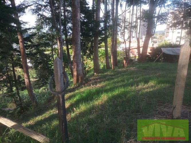 Lote en venta en La Industrial, Marinilla, 4800 m² · foto 4 de 6
