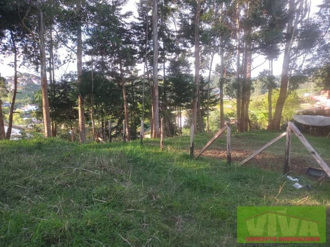 Lote en venta en La Industrial, Marinilla, 4800 m² · foto 5 de 6