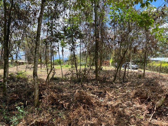 Lote en venta en El Porvenir, Rionegro, 8300 m² · foto 2 de 7