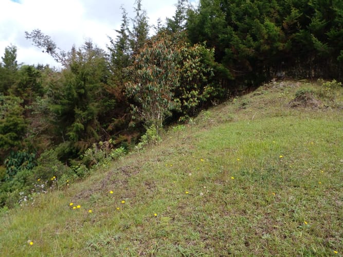 Lote en venta en Pantanillo, El Retiro, 3625 m² · foto 6 de 7
