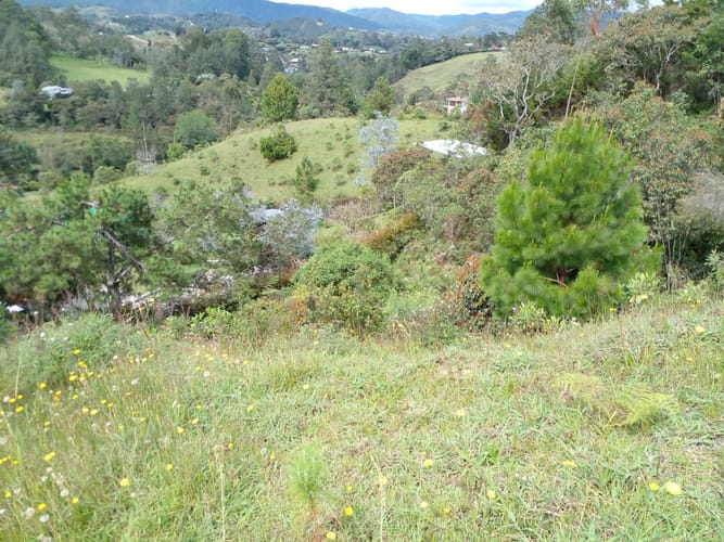 Lote en venta en Pantanillo, El Retiro, 3625 m² · foto 7 de 7