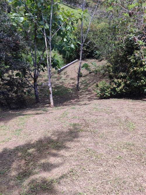 Lote en venta en El Carmen De Viboral, El Carmen de Viboral, 2660 m² · foto 6 de 9