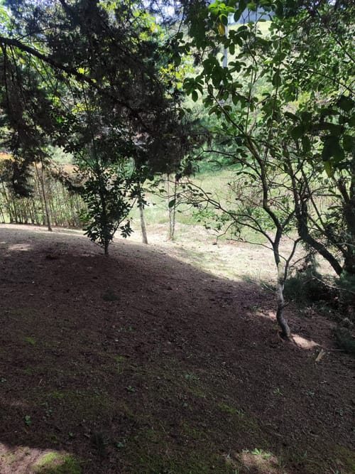 Lote en venta en El Carmen De Viboral, El Carmen de Viboral, 2660 m² · foto 7 de 9
