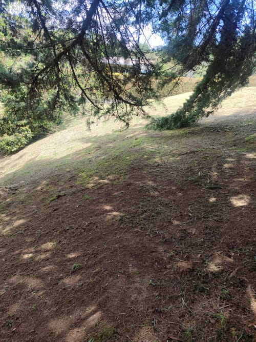 Lote en venta en El Carmen De Viboral, El Carmen de Viboral, 2660 m² · foto 8 de 9