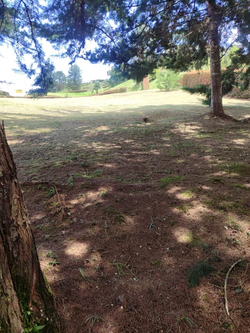 Lote en venta en El Carmen De Viboral, El Carmen de Viboral, 2660 m² · foto 9 de 9