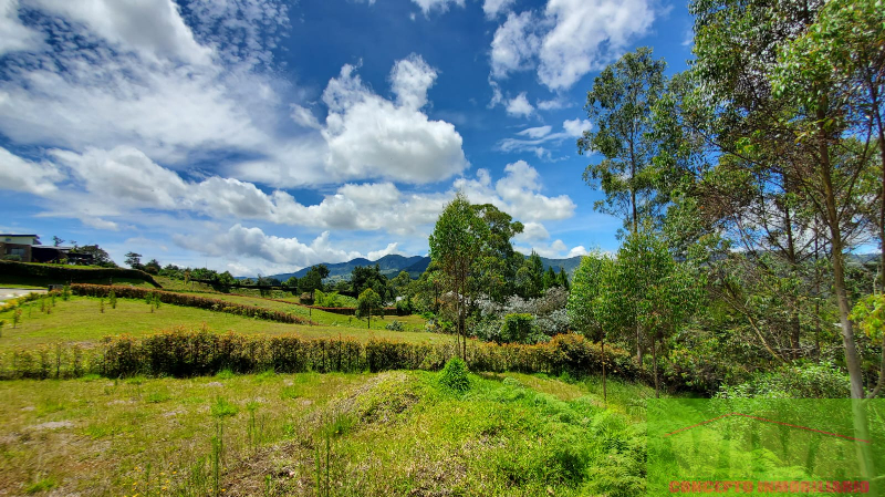 Lote en venta en La Ceja, 2600 m² · foto 3 de 8