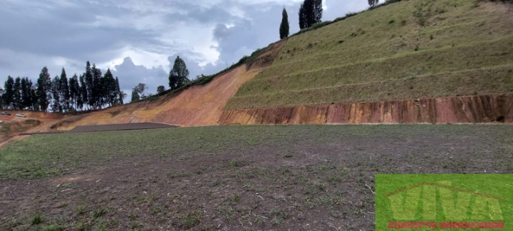Lote en venta en Guarne, 2000 m² · foto 3 de 6