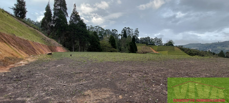 Lote en venta en Guarne, 2000 m² · foto 4 de 6