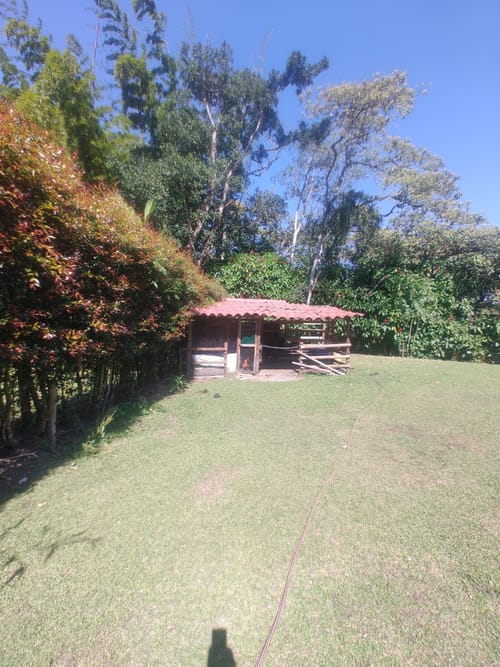 Finca en venta en El Porvenir, Rionegro, 450 m² · foto 13 de 20