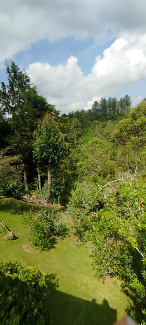 Casa de 5 alcobas en venta en El Porvenir, Rionegro, 428 m² · foto 19 de 20