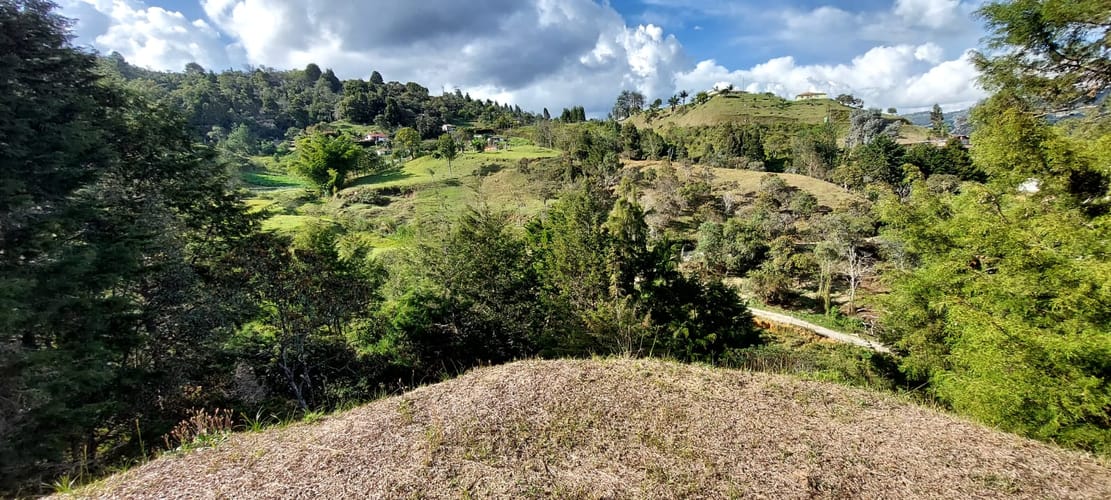Finca en venta en El Porvenir, Rionegro, 9600 m² · foto 3 de 20