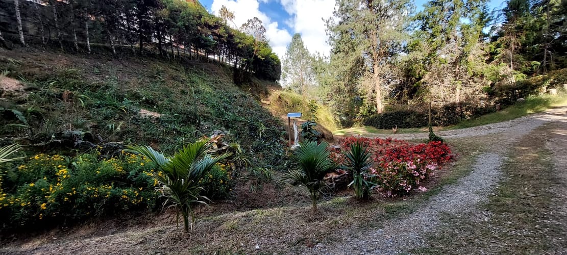 Finca en venta en El Porvenir, Rionegro, 9600 m² · foto 7 de 20