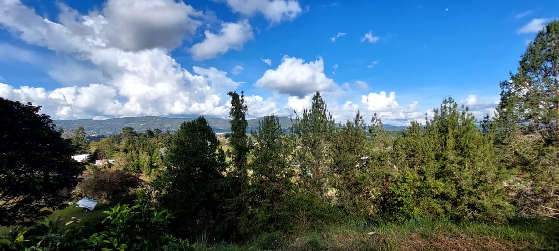 Finca en venta en El Porvenir, Rionegro, 9600 m² · foto 10 de 20