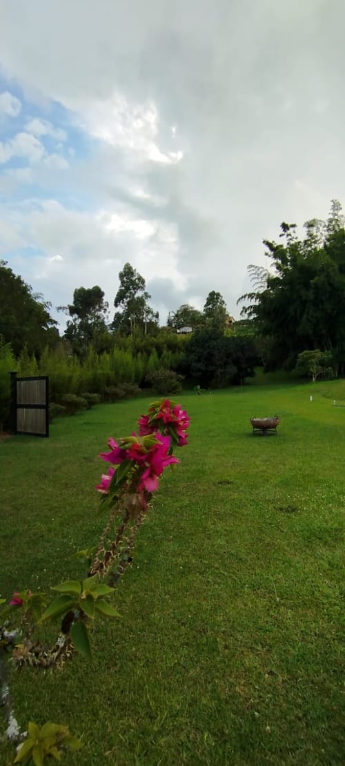 Lote en venta en El Porvenir, Rionegro, 4000 m² · foto 3 de 14
