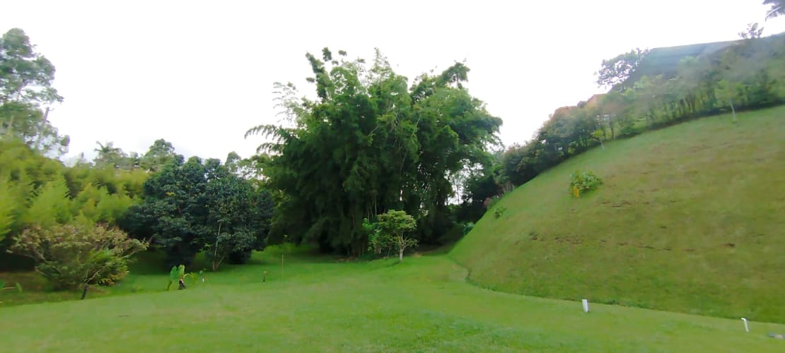 Lote en venta en El Porvenir, Rionegro, 4000 m² · foto 6 de 14