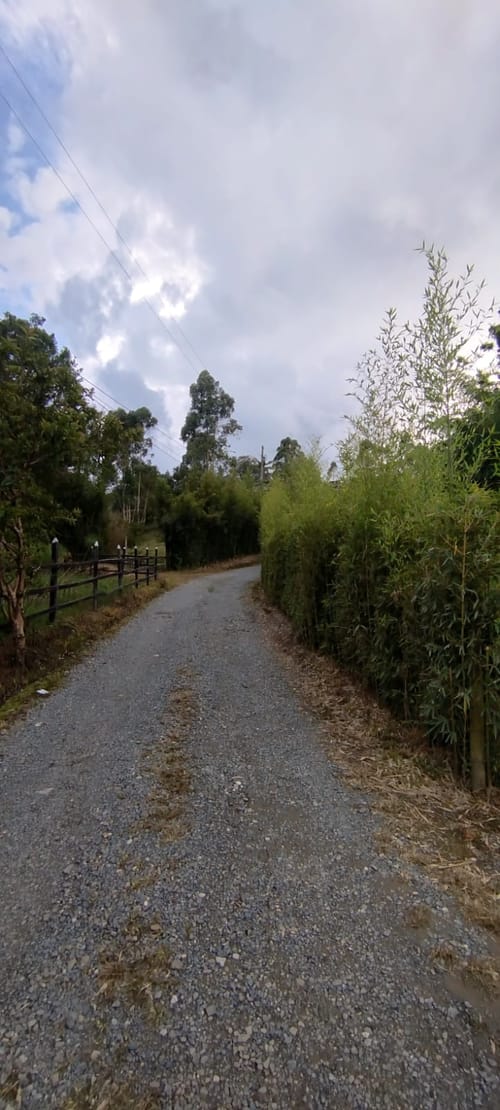 Lote en venta en El Porvenir, Rionegro, 4000 m² · foto 13 de 14