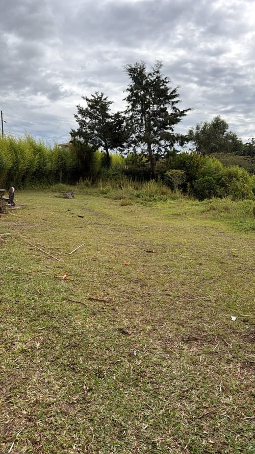 Lote en venta en La Industrial, Marinilla, 3000 m² · foto 2 de 2