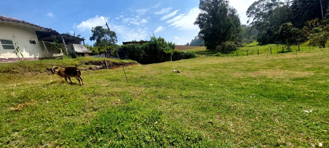 Lote en venta en El Porvenir, Rionegro, 1611 m² · foto 4 de 6