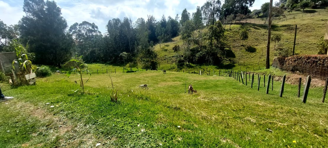 Lote en venta en El Porvenir, Rionegro, 1611 m² · foto 5 de 6