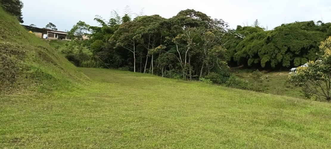 Lote en arriendo en El Porvenir, Rionegro, 5000 m² · foto 2 de 9