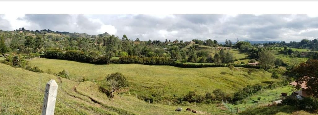 Lote en venta en Sajonia, Rionegro, 11700 m² · foto 3 de 5