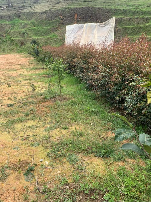 Lote en venta en Guarne, 1873 m² · foto 18 de 19