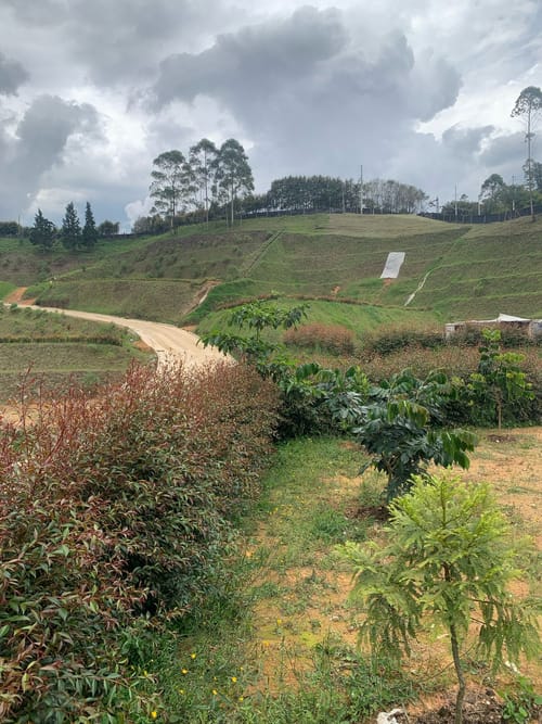 Lote en venta en Guarne, 1873 m² · foto 19 de 19