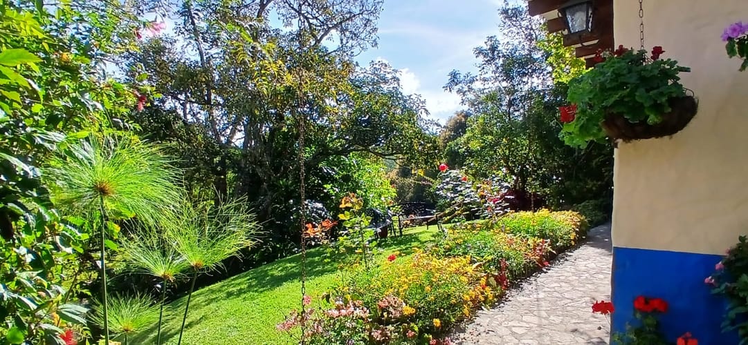 Casa de 3 alcobas en venta en Centro, Rionegro · foto 6 de 20