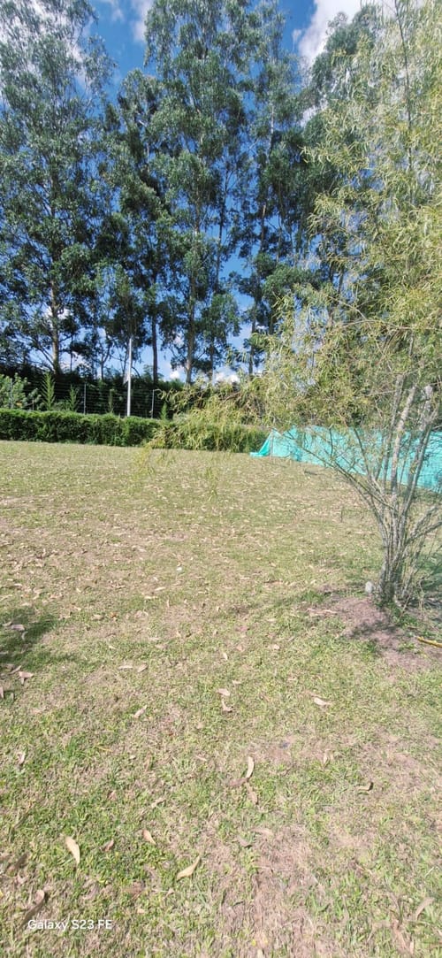 Lote en venta en El Porvenir, Rionegro, 1737 m² · foto 5 de 14