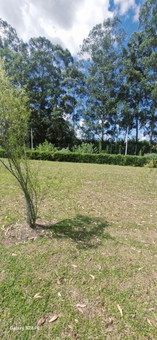 Lote en venta en El Porvenir, Rionegro, 1737 m² · foto 14 de 14
