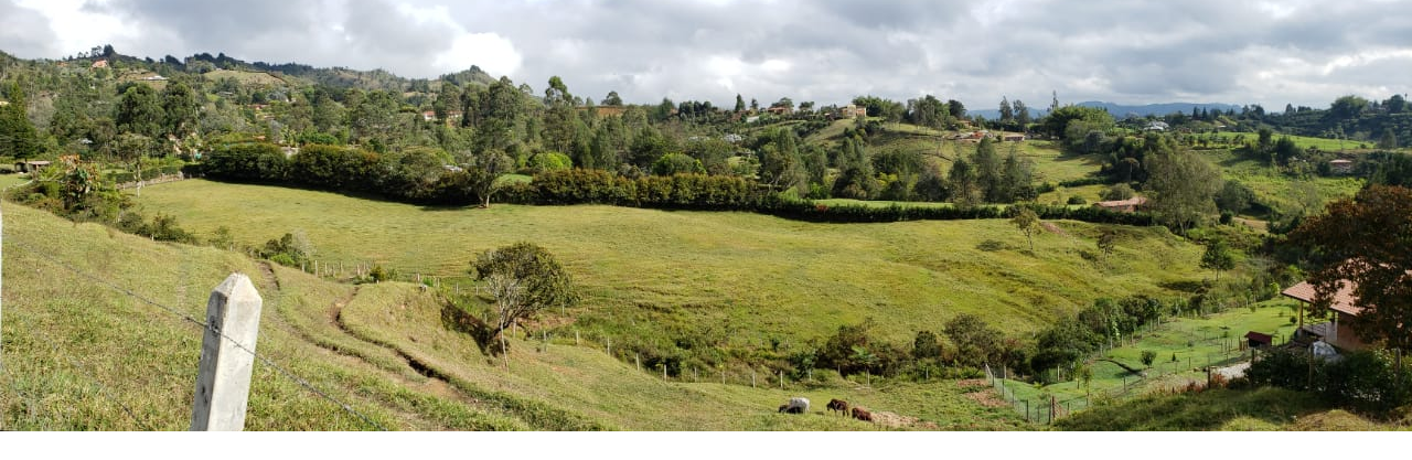 Lote en venta en El Porvenir, Rionegro, 11700 m² · foto 3 de 8
