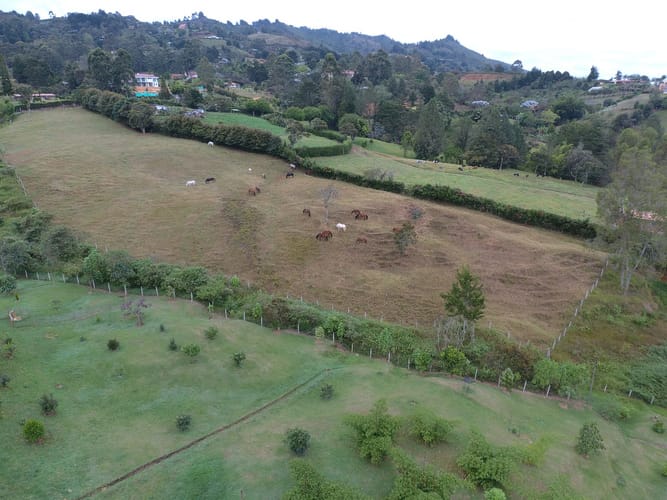 Lote en venta en El Porvenir, Rionegro, 11700 m² · foto 7 de 8