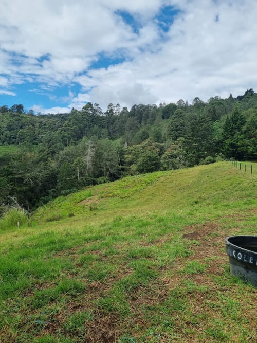 Lote en venta en El Porvenir, Rionegro, 10 m² · foto 3 de 8