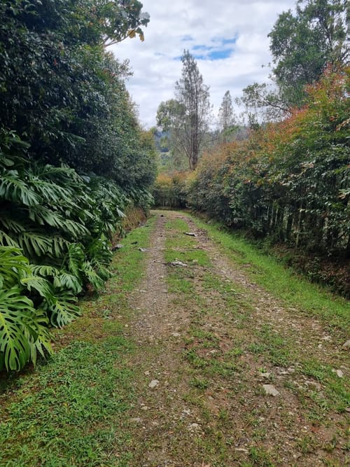 Lote en venta en El Porvenir, Rionegro, 10 m² · foto 5 de 8