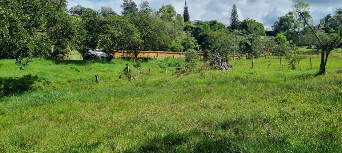 Lote en venta en El Porvenir, Rionegro, 15119 m² · foto 3 de 15