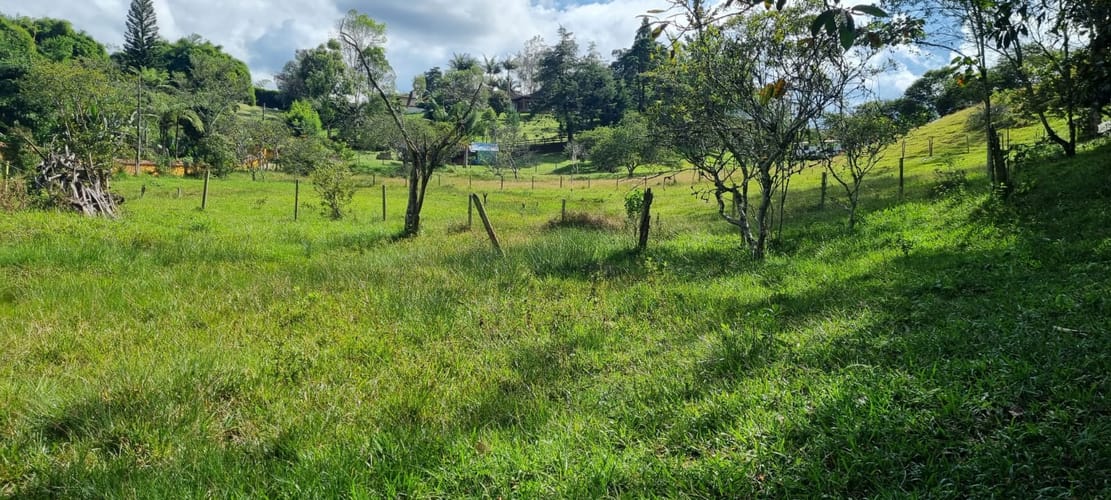Lote en venta en El Porvenir, Rionegro, 15119 m² · foto 5 de 15