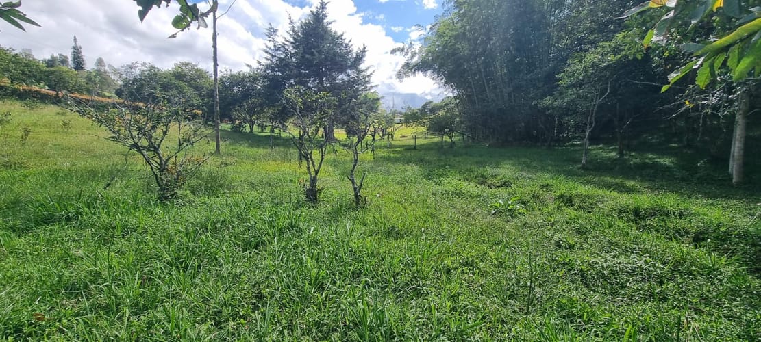 Lote en venta en El Porvenir, Rionegro, 15119 m² · foto 6 de 15