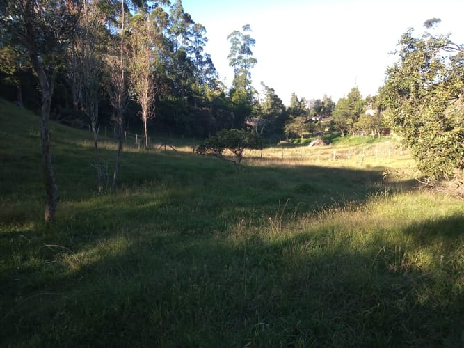 Lote en venta en El Porvenir, Rionegro, 15119 m² · foto 9 de 15